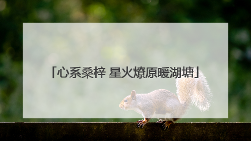 心系桑梓 星火燎原暖湖塘