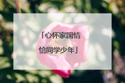 心怀家国情 恰同学少年