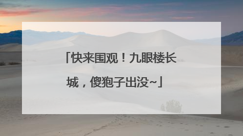 快来围观！九眼楼长城，傻狍子出没~