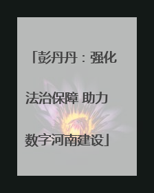 彭丹丹：强化法治保障 助力数字河南建设
