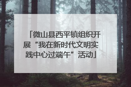 微山县西平镇组织开展“我在新时代文明实践中心过端午”活动