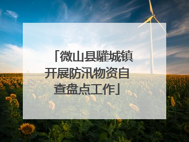 微山县驩城镇开展防汛物资自查盘点工作