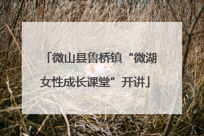 微山县鲁桥镇“微湖女性成长课堂”开讲