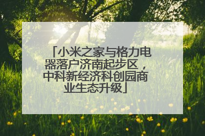 小米之家与格力电器落户济南起步区，中科新经济科创园商业生态升级