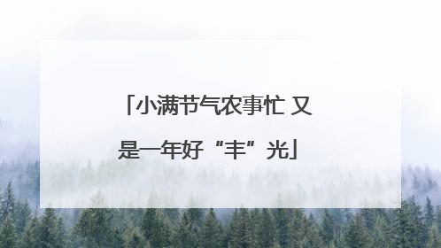 小满节气农事忙 又是一年好“丰”光