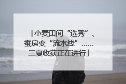 小麦田间“选秀”、蚕房变“流水线”……三夏收获正在进行