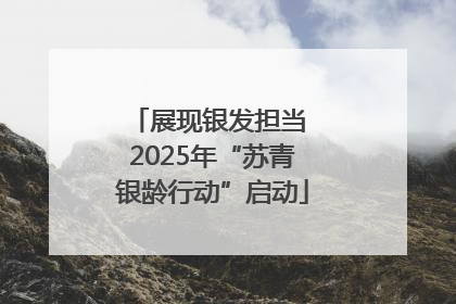 展现银发担当 2025年“苏青银龄行动”启动