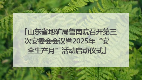 山东省地矿局鲁南院召开第三次安委会会议暨2025年“安全生产月”活动启动仪式