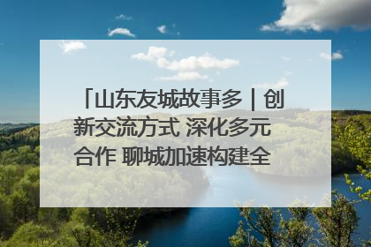 山东友城故事多｜创新交流方式 深化多元合作 聊城加速构建全球友城新格局