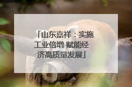 山东嘉祥：实施工业倍增 赋能经济高质量发展