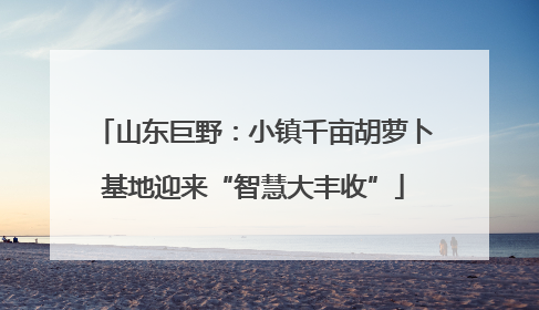 山东巨野：小镇千亩胡萝卜基地迎来“智慧大丰收”