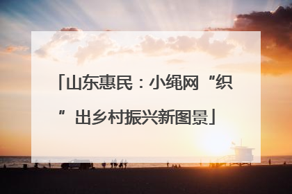 山东惠民：小绳网“织”出乡村振兴新图景