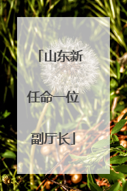 山东新任命一位副厅长