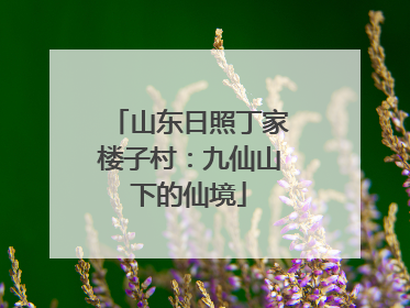 山东日照丁家楼子村：九仙山下的仙境
