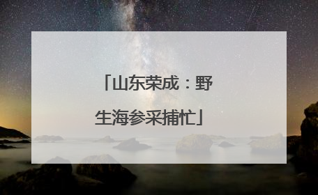 山东荣成：野生海参采捕忙
