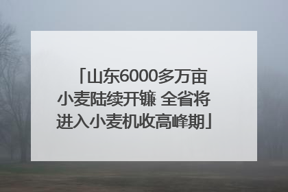 山东6000多万亩小麦陆续开镰 全省将进入小麦机收高峰期