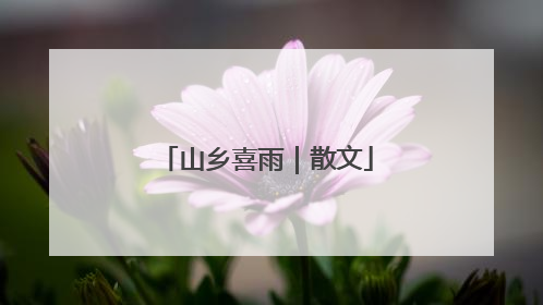山乡喜雨｜散文