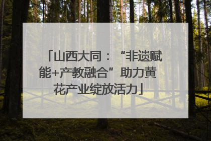 山西大同：“非遗赋能+产教融合”助力黄花产业绽放活力