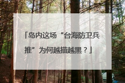 岛内这场“台海防卫兵推”为何越描越黑？