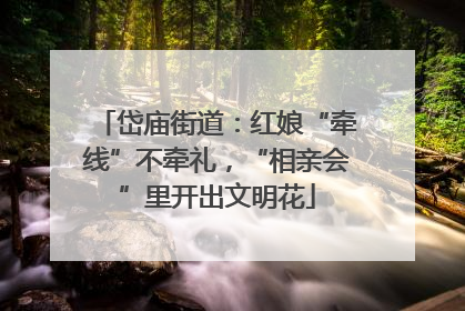 岱庙街道：红娘“牵线”不牵礼，“相亲会”里开出文明花