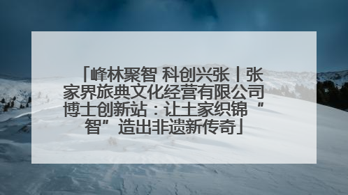 峰林聚智 科创兴张丨张家界旅典文化经营有限公司博士创新站：让土家织锦“智”造出非遗新传奇