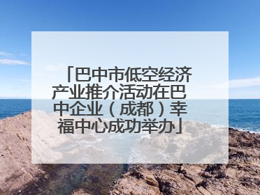 巴中市低空经济产业推介活动在巴中企业（成都）幸福中心成功举办