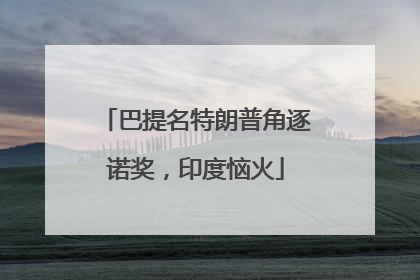 巴提名特朗普角逐诺奖，印度恼火