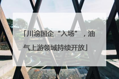 川渝国企“入场”，油气上游领域持续开放