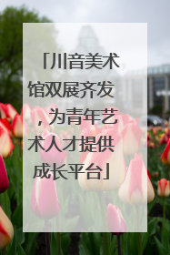 川音美术馆双展齐发，为青年艺术人才提供成长平台