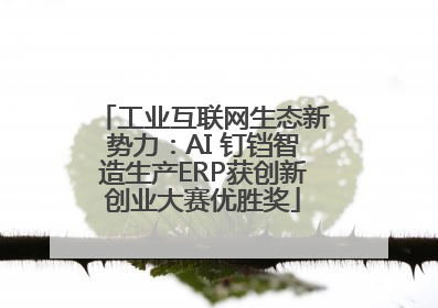 工业互联网生态新势力：AI 钉铛智造生产ERP获创新创业大赛优胜奖