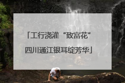 工行浇灌“致富花” 四川通江银耳绽芳华