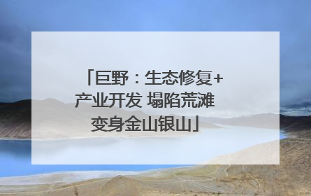 巨野：生态修复+产业开发 塌陷荒滩变身金山银山