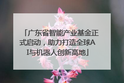 广东省智能产业基金正式启动，助力打造全球AI与机器人创新高地