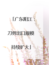 广东阳江：刀剪出口规模持续扩大