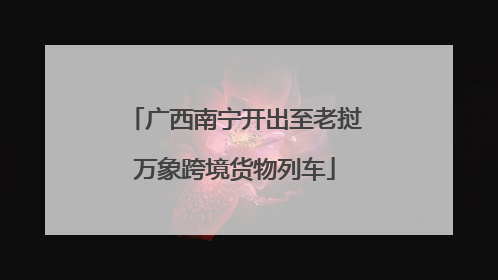 广西南宁开出至老挝万象跨境货物列车