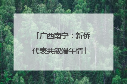广西南宁：新侨代表共叙端午情