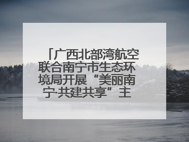 广西北部湾航空联合南宁市生态环境局开展“美丽南宁·共建共享”主题航班活动
