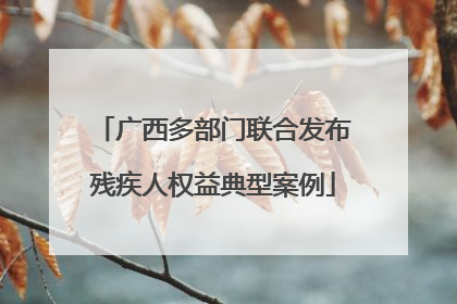 广西多部门联合发布残疾人权益典型案例