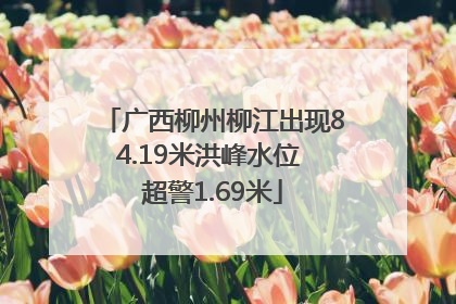 广西柳州柳江出现84.19米洪峰水位 超警1.69米