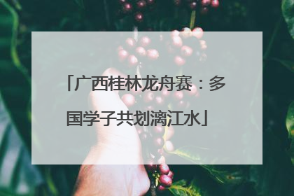 广西桂林龙舟赛：多国学子共划漓江水