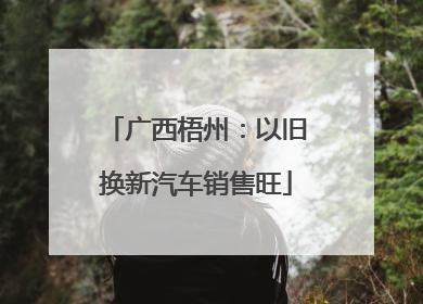 广西梧州：以旧换新汽车销售旺