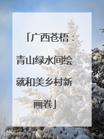 广西苍梧：青山绿水间绘就和美乡村新画卷