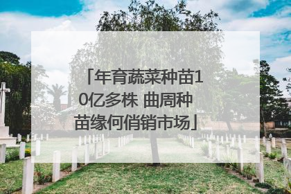 年育蔬菜种苗10亿多株 曲周种苗缘何俏销市场