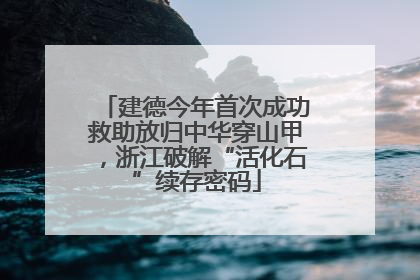 建德今年首次成功救助放归中华穿山甲，浙江破解“活化石”续存密码