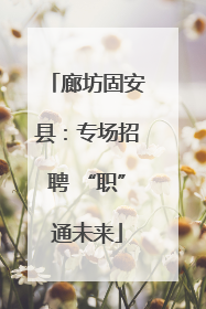 廊坊固安县：专场招聘 “职”通未来