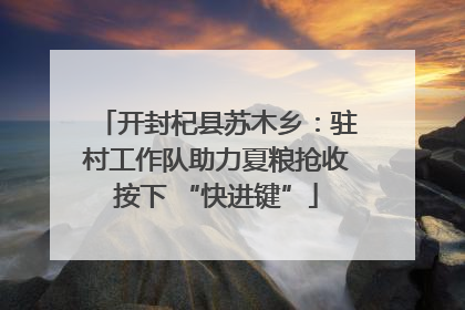 开封杞县苏木乡：驻村工作队助力夏粮抢收按下 “快进键”