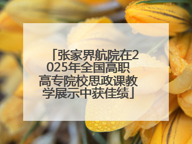 张家界航院在2025年全国高职高专院校思政课教学展示中获佳绩