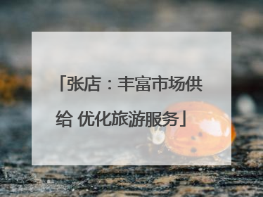 张店：丰富市场供给 优化旅游服务