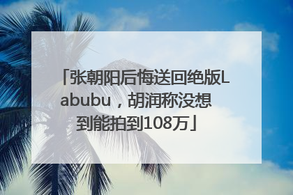 张朝阳后悔送回绝版Labubu，胡润称没想到能拍到108万