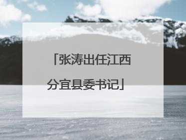 张涛出任江西分宜县委书记